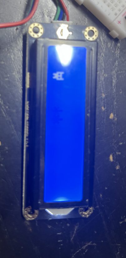 Close-up of the LCD mid-game with the cat sprite on screen.
